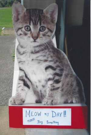 cats unlimited yard sale cats unlimited yard sale